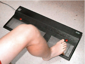 stacks_image_CE9F91C1-51C7-4798-B5A3-ED18566993BC